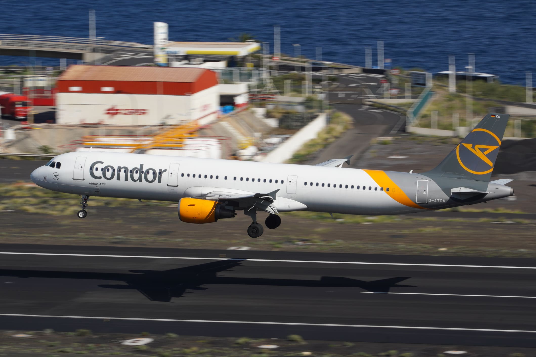 Condor